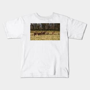 Deer in the Highlands Kids T-Shirt